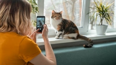 Using Treats to Your Advantage: How to Get Your Pet's Attention During Photoshoots